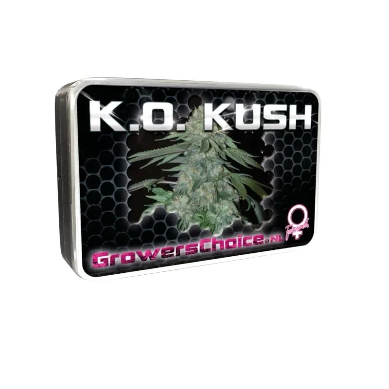 KO Kush van Growers Choice Seeds