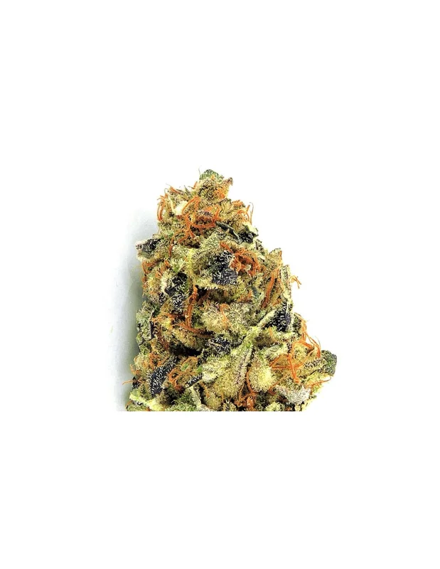 K.O Kush van Heavyweight Seeds
