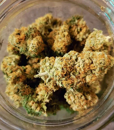 Extreme Impact van Heavyweight Seeds