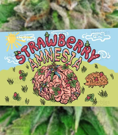 Strawberry Amnesia van Herbies Seeds