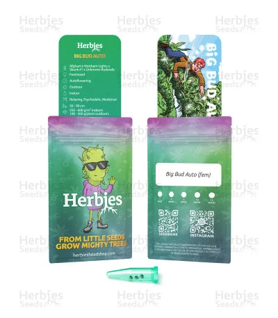 Big Bud van Herbies Seeds