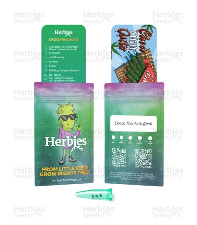 Choco Thai van Herbies Seeds