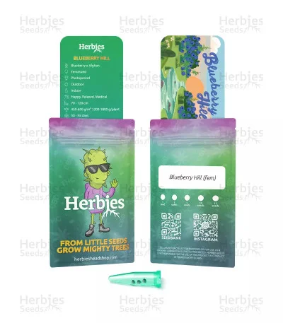 Blueberry Hill van Herbies Seeds
