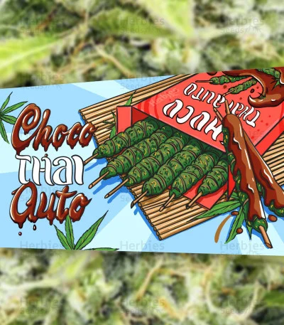 Choco Thai van Herbies Seeds