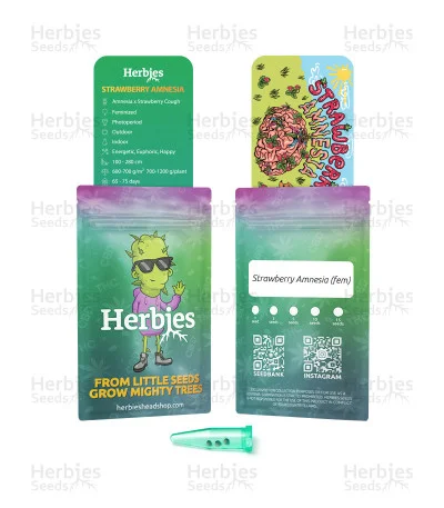 Strawberry Amnesia van Herbies Seeds