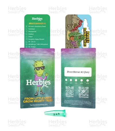 Bruce Banner #3 van Herbies Seeds