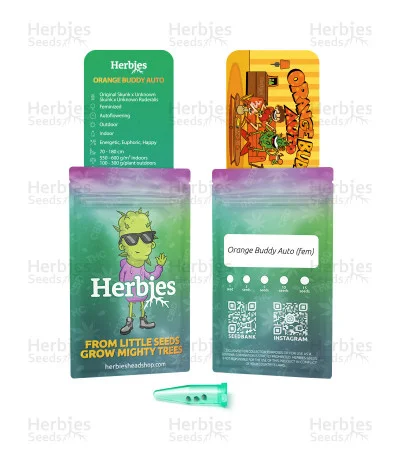 Orange Buddy van Herbies Seeds