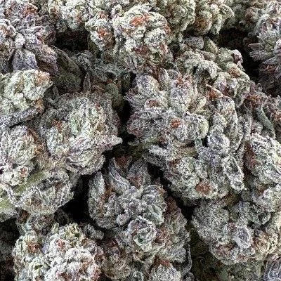Double Fire Headband van Humboldt Seed Organization