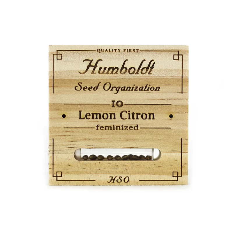 Lemon Citron van Humboldt Seed Organization