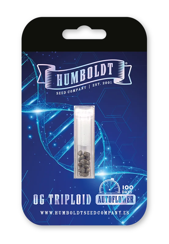 OG Triploid van Humboldt Seed Company