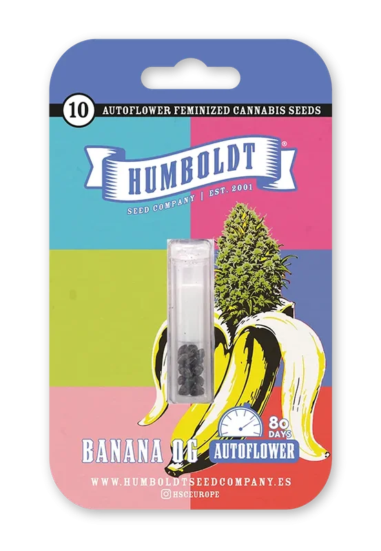Banana OG van Humboldt Seed Company