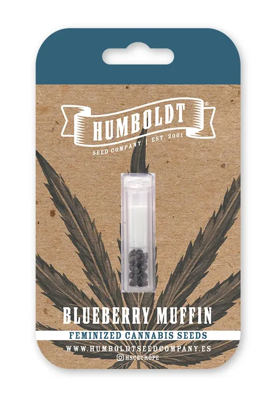 Blueberry Muffin van Humboldt Seed Company