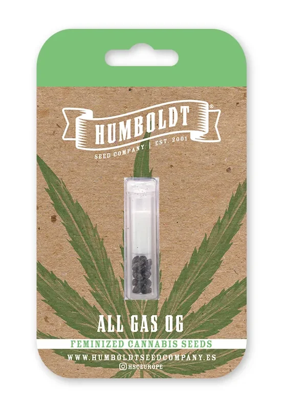 All Gas OG van Humboldt Seed Company