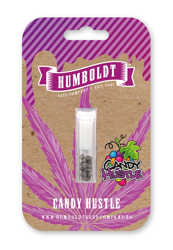Candy Hustle van Humboldt Seed Company