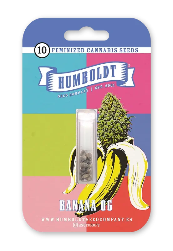 Banana OG van Humboldt Seed Company