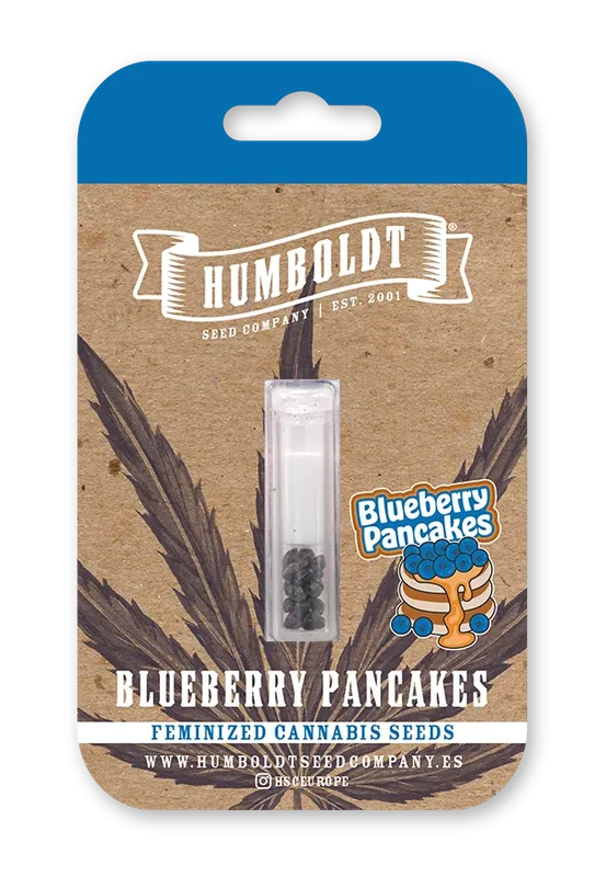 Blueberry Pancakes van Humboldt Seed Company