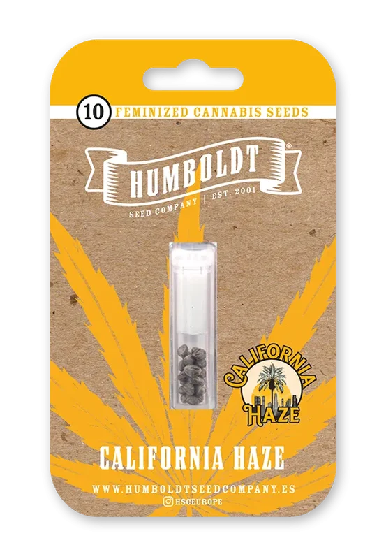 California Haze van Humboldt Seed Company