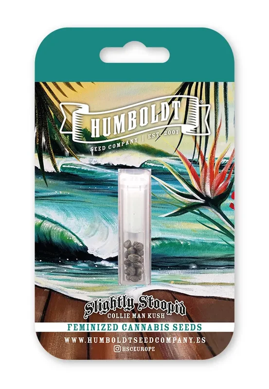 Slightly Stoopid Collie Man Kush van Humboldt Seed Company