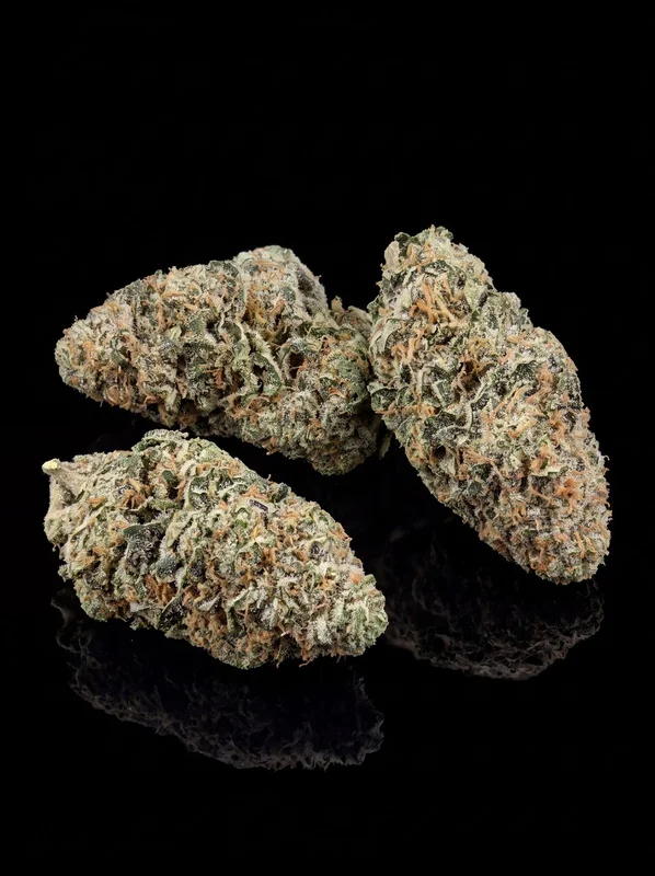 Gorilla Zkittlez by ILGM