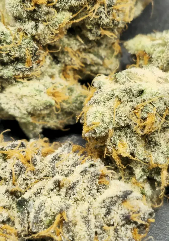 Slurrbanger van In House Genetics