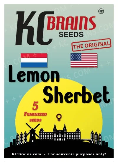 Lemon Sherbet van KC Brains
