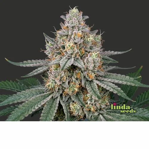 Wedding Cake van Linda Seeds
