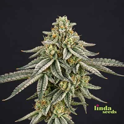 Wedding Cake van Linda Seeds
