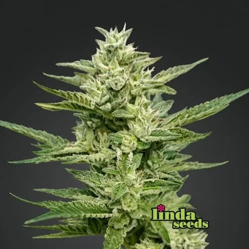 Wedding Cake van Linda Seeds