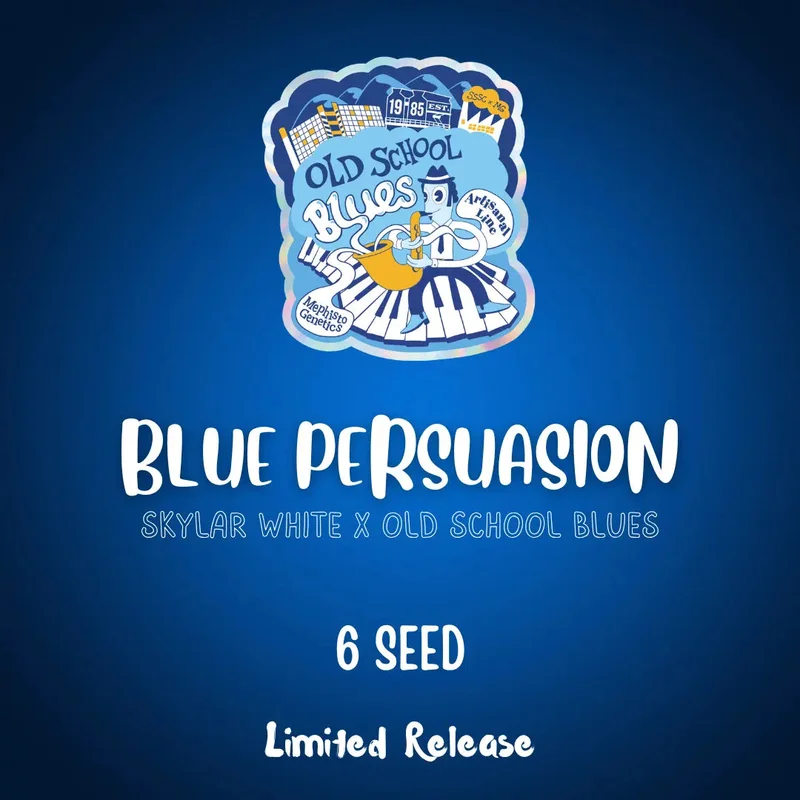 Blue Persuasion van Mephisto Genetics
