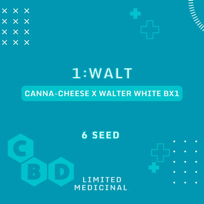 1:Walt van Mephisto Genetics