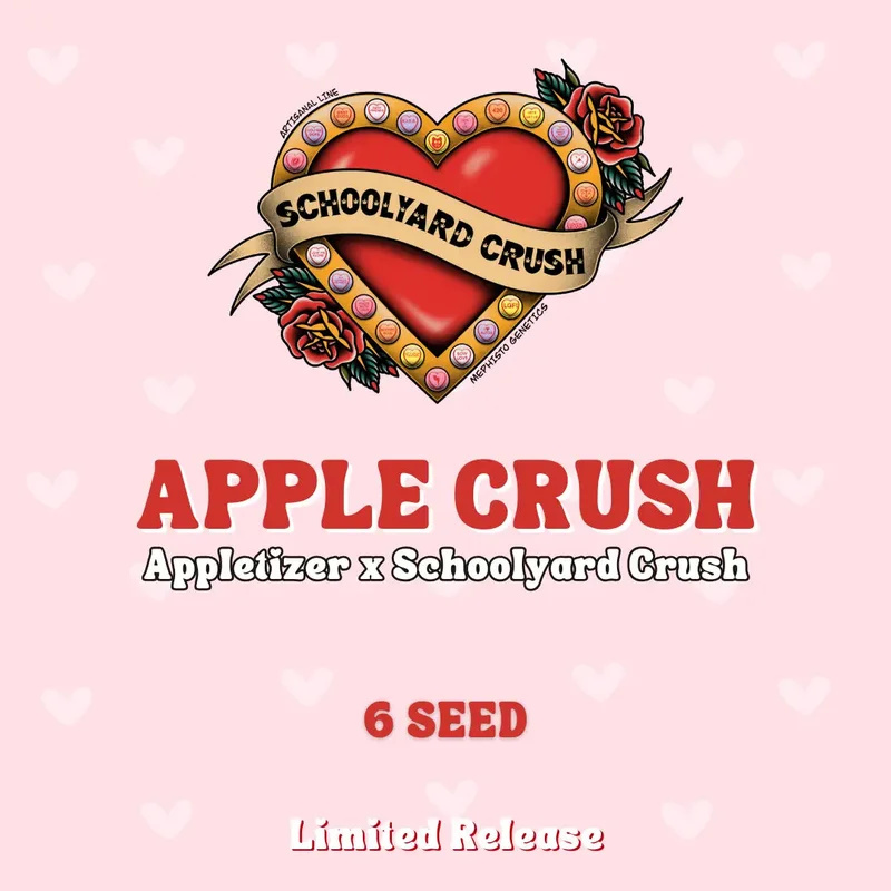 Apple Crush van Mephisto Genetics