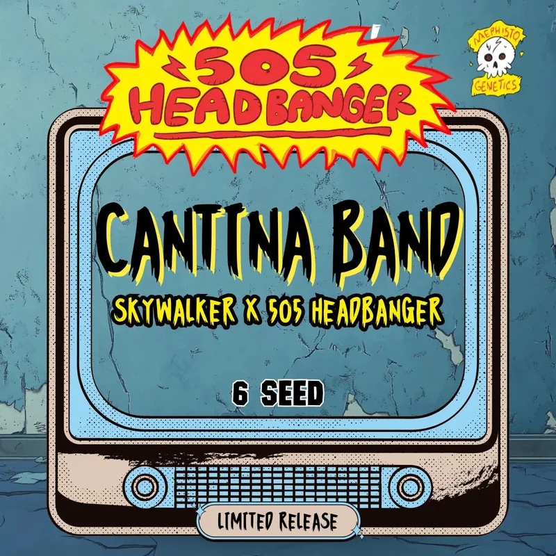 Cantina Band van Mephisto Genetics