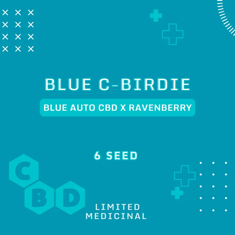 Blue C-Birdie van Mephisto Genetics