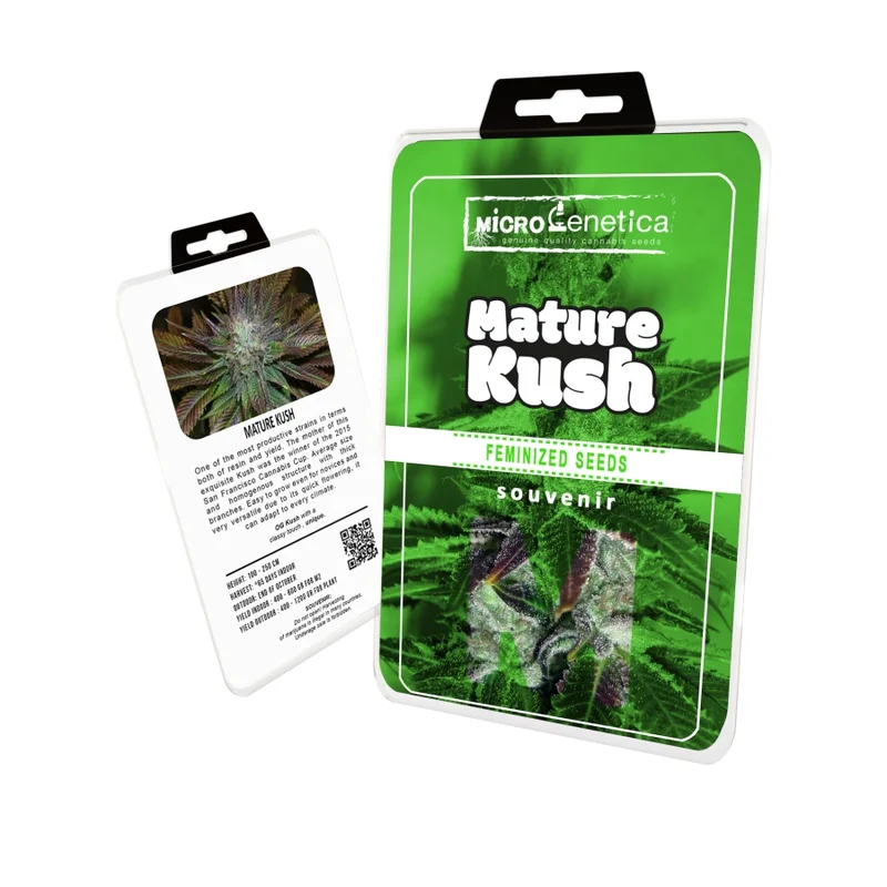 Mature Kush van Microgenetica