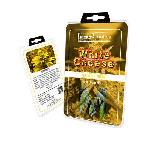 White Cheese van Microgenetica