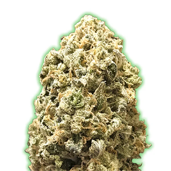 Pebbles di Monster Genetics