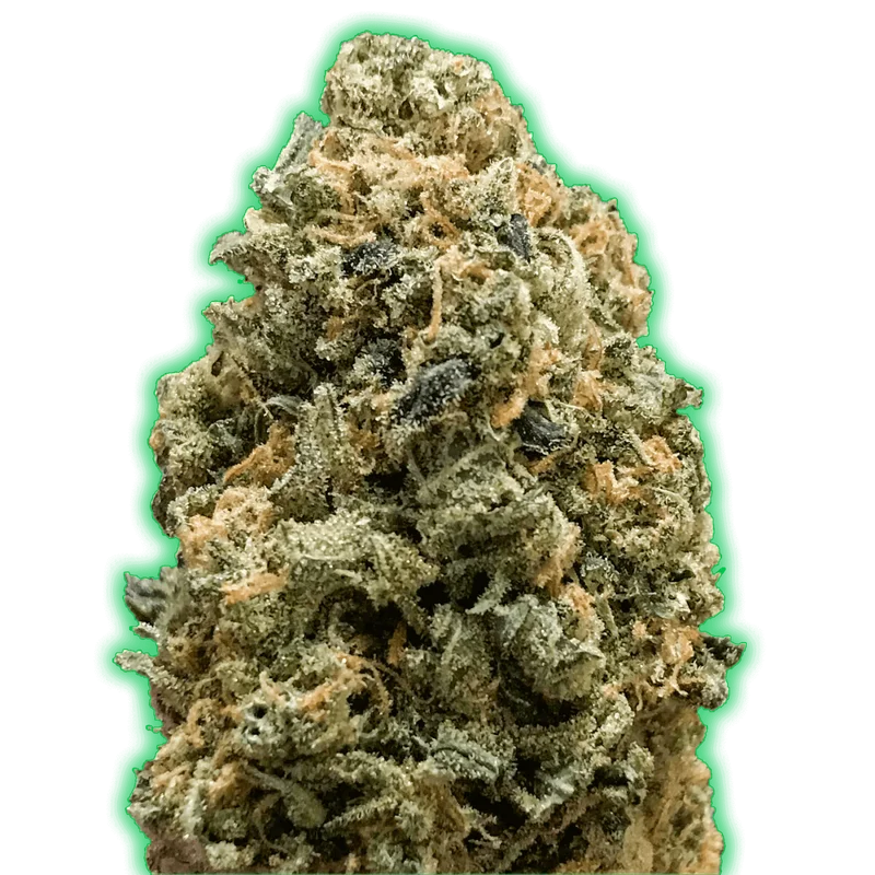 Bruce Banner van Monster Genetics