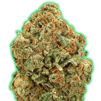Monster Moby van Monster Genetics