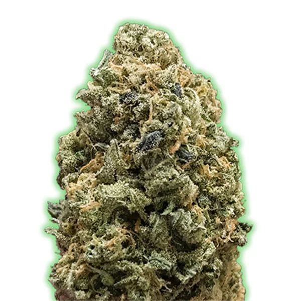 Bruce Banner van Monster Genetics