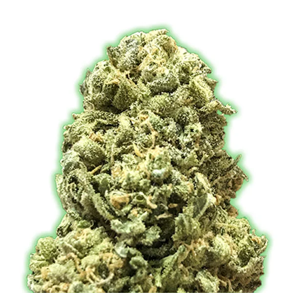 Girl Scout Cookies di Monster Genetics