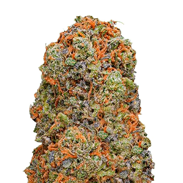 Monster Gelato van Monster Genetics