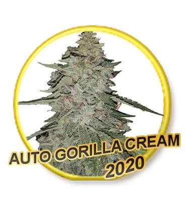 Gorilla Cream van Mr. Hide Seeds