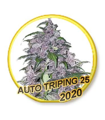 Triping 25 van Mr. Hide Seeds