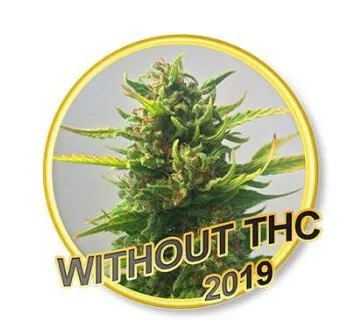 Without THC van Mr. Hide Seeds
