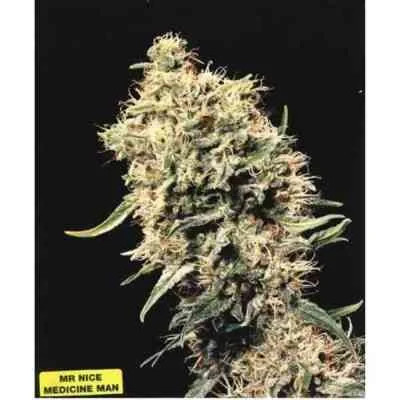 Medicine Man van Mr.Nice