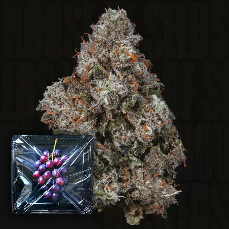 Pruno van Nine Weeks Harvest