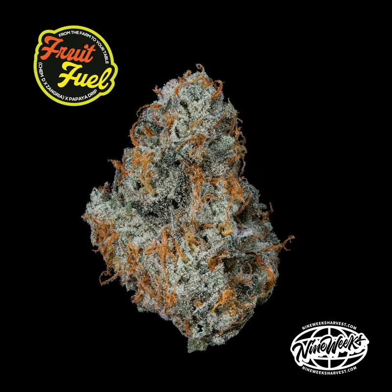 Fruit Fuel van Nine Weeks Harvest