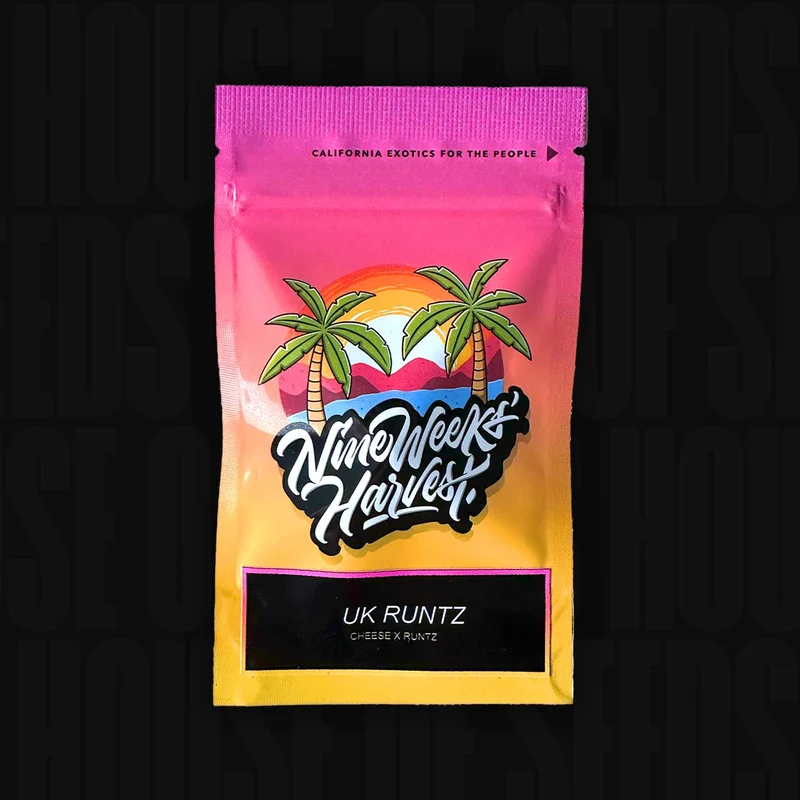UK Runtz van Nine Weeks Harvest