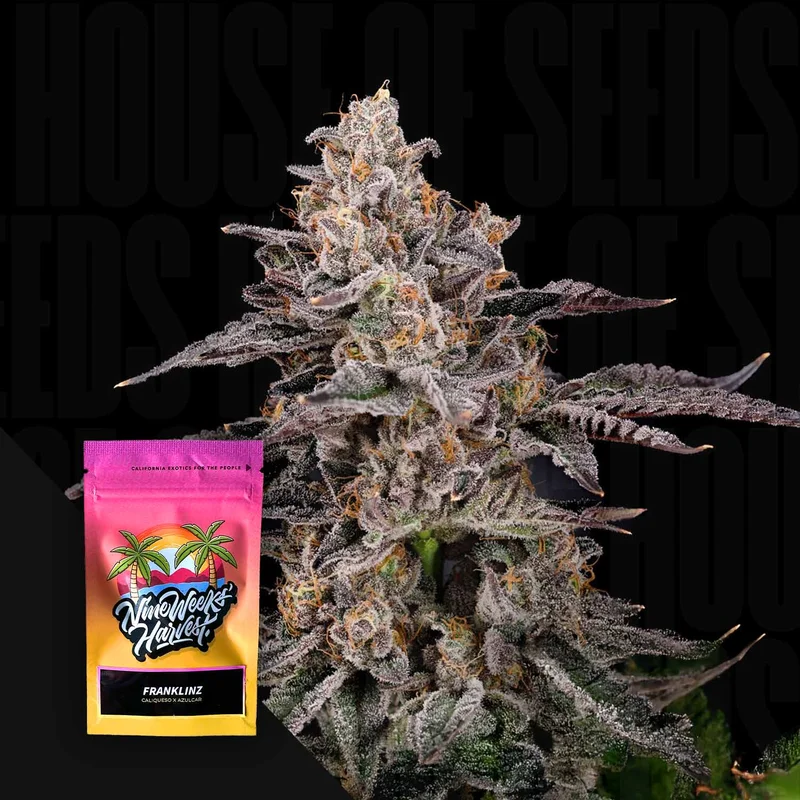 Franklinz van Nine Weeks Harvest