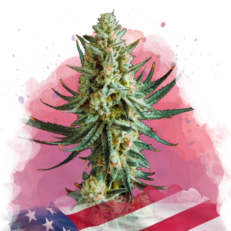 Wedding Cake van Nirvana